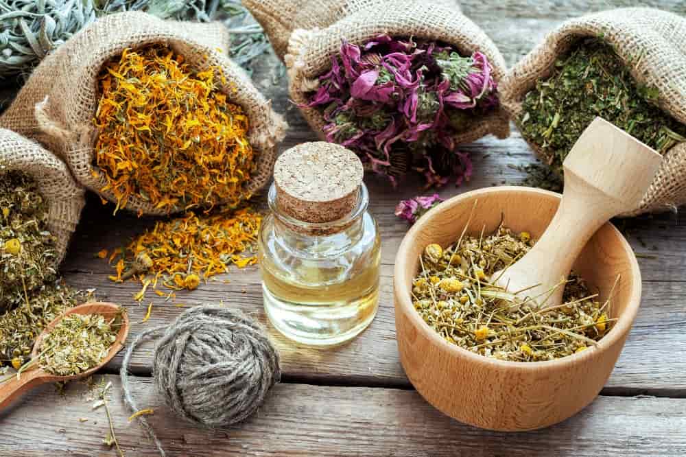 دست فردی در حال بررسی کیفیت برگ‌های خشک دمنوش گیاهی