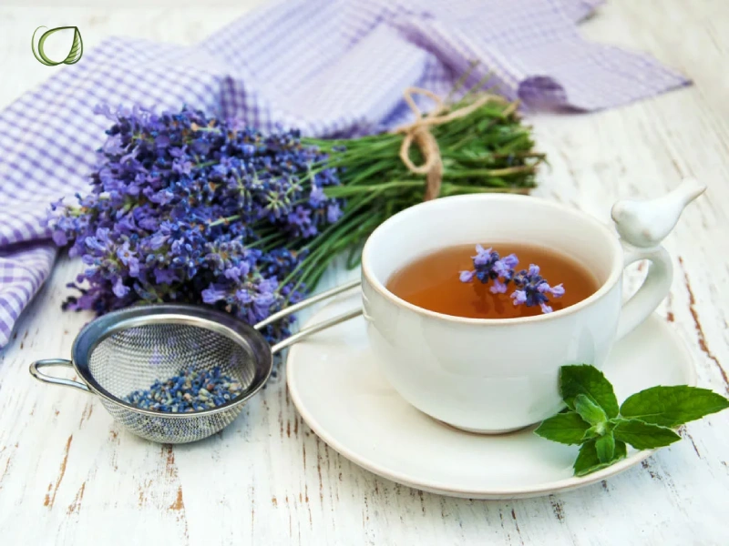 فنجان دمنوش گیاهی گرم با بخار در کنار گیاهان دارویی تازه