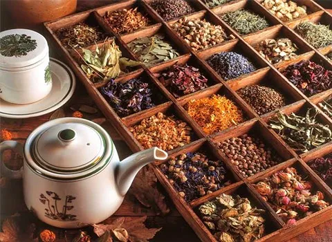 نمایی از بالا از انواع گیاهان دارویی خشک و دمنوش‌ها در کنار هاون