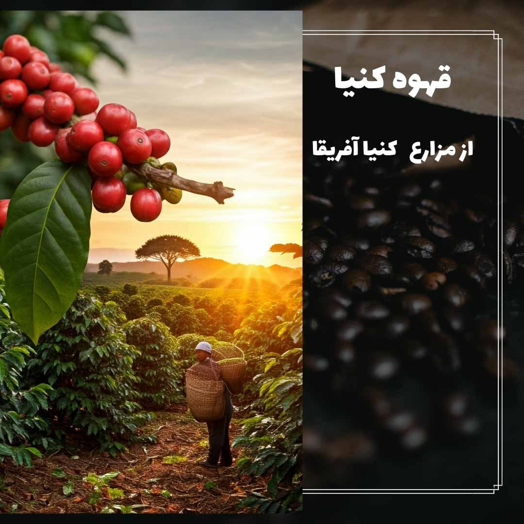 فرایند دم‌آوری قهوه عربیکا کنیا AA با استفاده از دستگاه V60 و ریزش آب داغ روی سابه قهوه