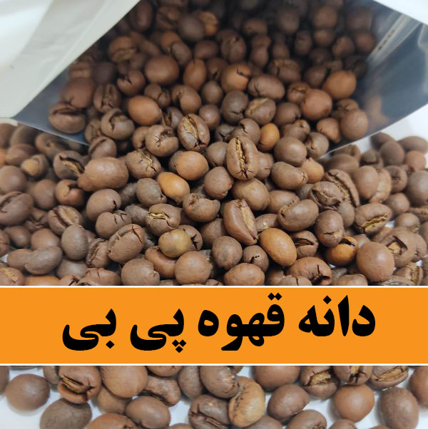 مزارع سرسبز و پلکانی قهوه در ارتفاعات هند