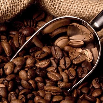 دانه‌های قهوه روبوستا با کیفیت بالا و رنگ تیره مناسب برای تهیه قهوه ترک سوپر کافئین