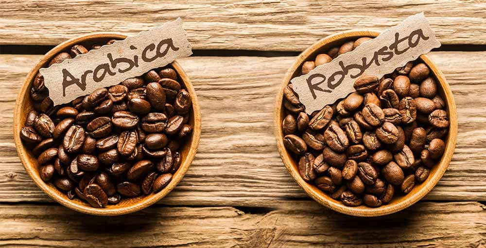 دانه‌های قهوه عربیکا و روبوستا در کنار هم