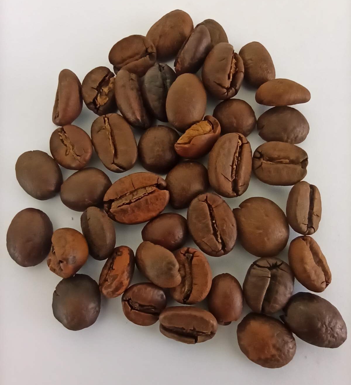 دانه قهوه میکس اروگوئه