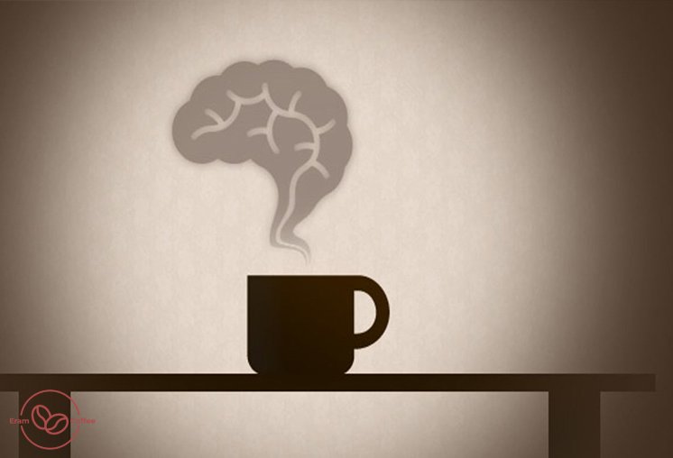 تاثیر قهوه بر مغز